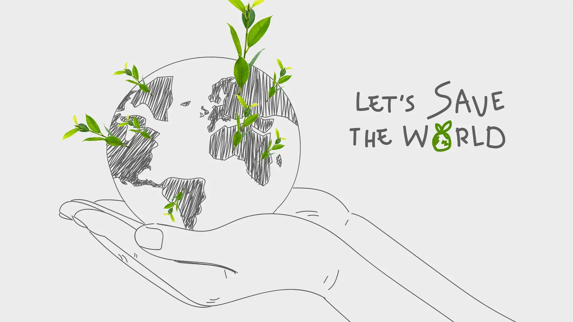 Sustainable Elements of Bamboo Toilet Paper – HeyBamboo