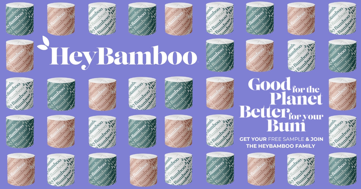 Bamboo visual data 6