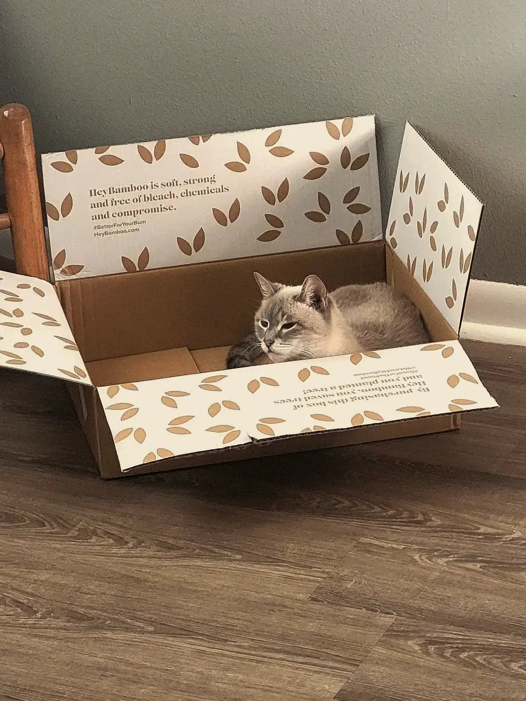 A cat in a settles down in a Hey Bamboo box